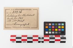 Etiketten zu Bronzeschüssel (NHMW-PRAE-025226)